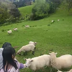 Sunshine Valley